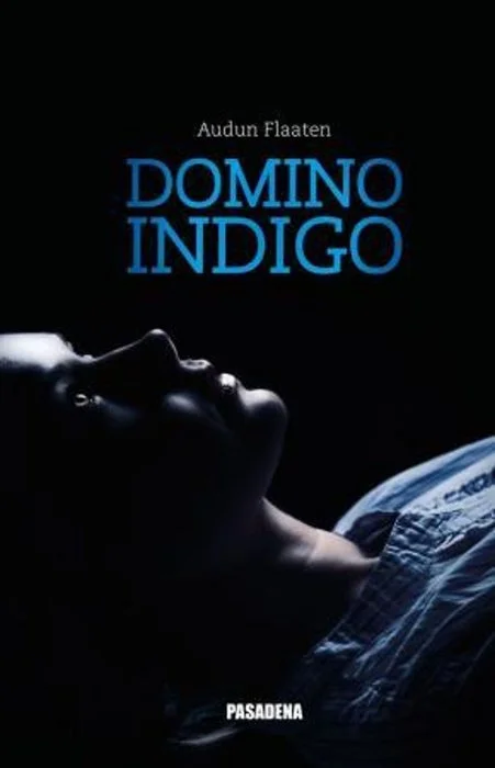 Omslaget til Domino Indigo: profilen av et ansikt i mørket, med tittelen i blått